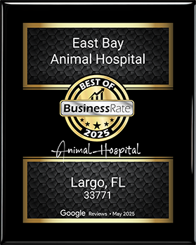 Best of Business 2025, Largo, FL