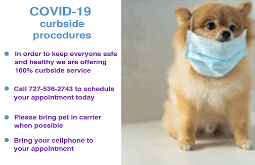 Covid 19 instructions at East Bay Animal Hospital 33771