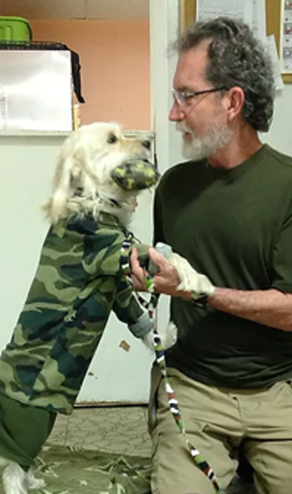 Paul Kitwood  K-9 Positive Training