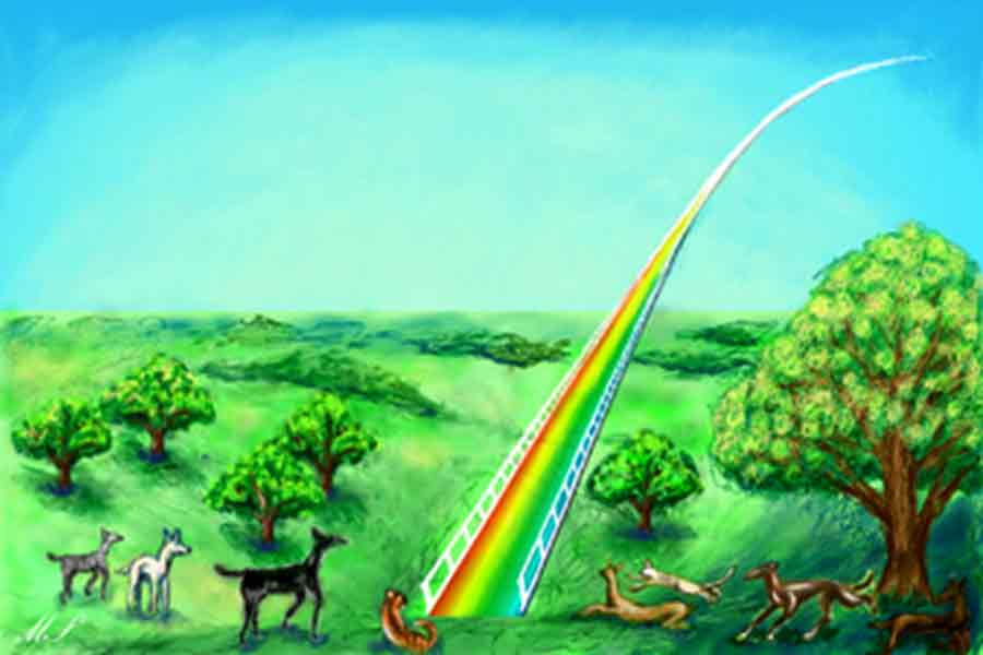 Rainbow Bridge Poem