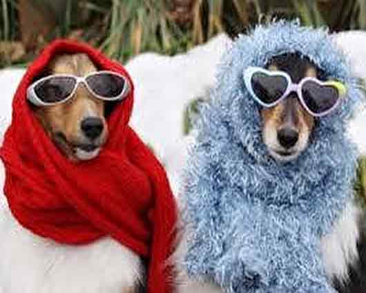 Winter Tips For Safety