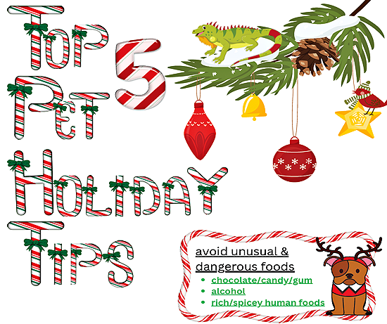 Top 5 Pet Holiday Tips