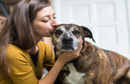 

Treating Degenerative Joint Disease in Winter