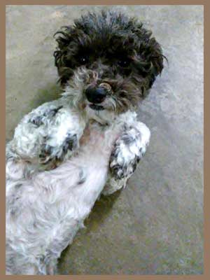 Coco Maxey