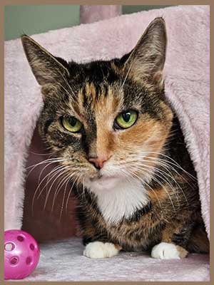 East Bay animal Hospital Pet of the Month